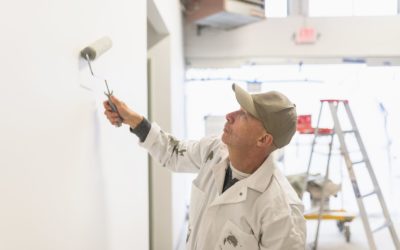Differences between proffesional painter & painter